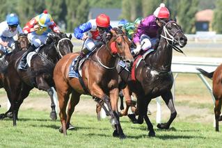 Group One winner Savvy Coup (NZ) winning the Group 3 Eulogy Stakes in 2017.